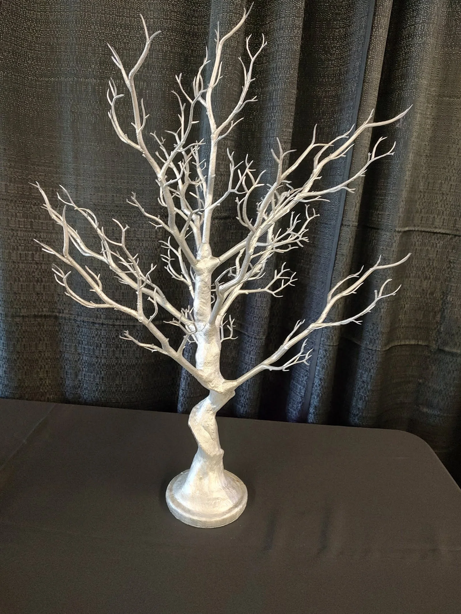 Silver Manzanita Tree $12.00