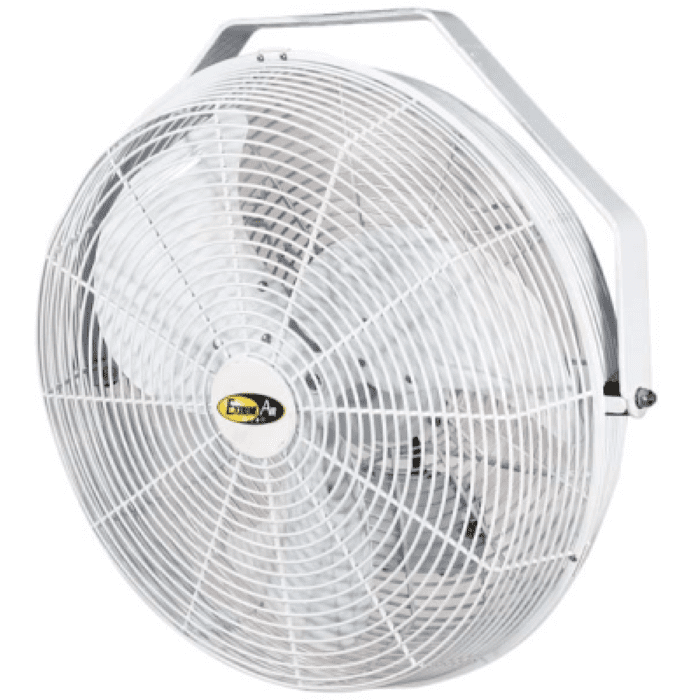 fan